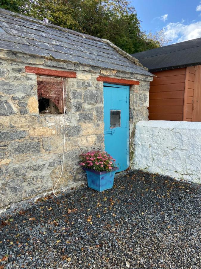 Katie'S Cottage Limerick Junction Kültér fotó